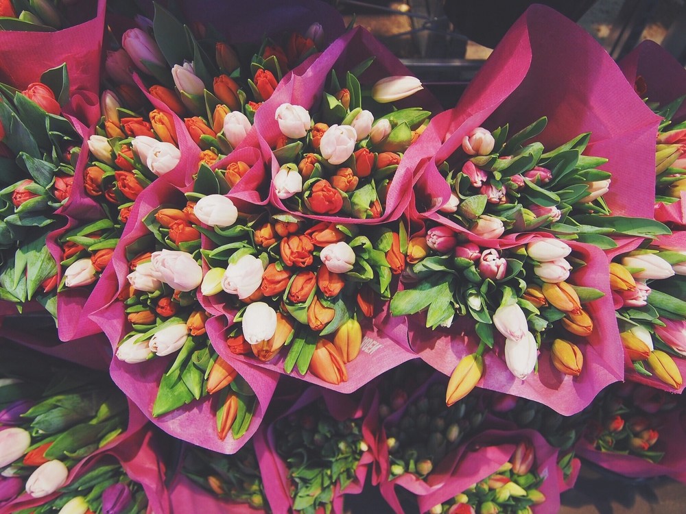Agricultura lanza una campaña de apoyo al sector de la planta ornamental y flor cortada