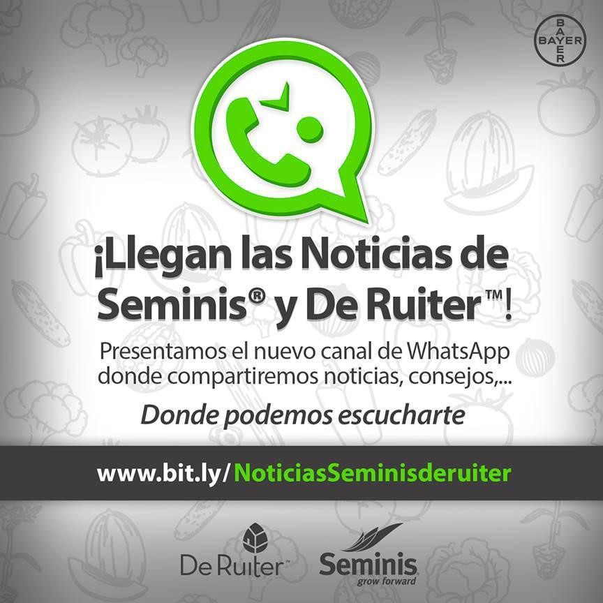 Seminis y De Ruiter, más cerca aún del agricultor a través de un grupo de Whatsapp
