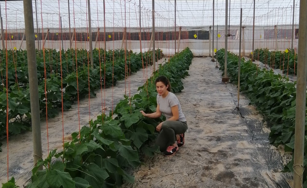 Grupo Agroponiente hace un balance muy positivo del primer año de su almacén de confección de Castell de Ferro (Granada)