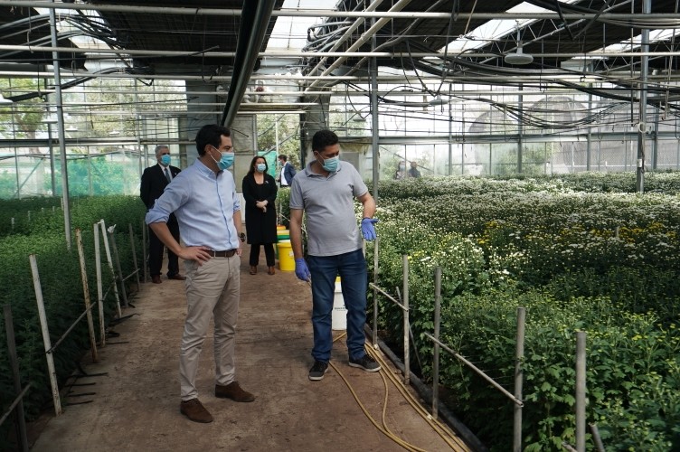 Moreno anuncia 19 millones de euros para compensar las pérdidas en el sector agroalimentario por la caída de ventas