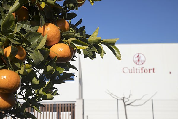 Cultifort ofrece charlas formativas sobre distintos cultivos y problemáticas ¡Únete a ellas!