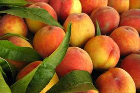 ASAJA Murcia reclama una interprofesional para la fruta de hueso española
