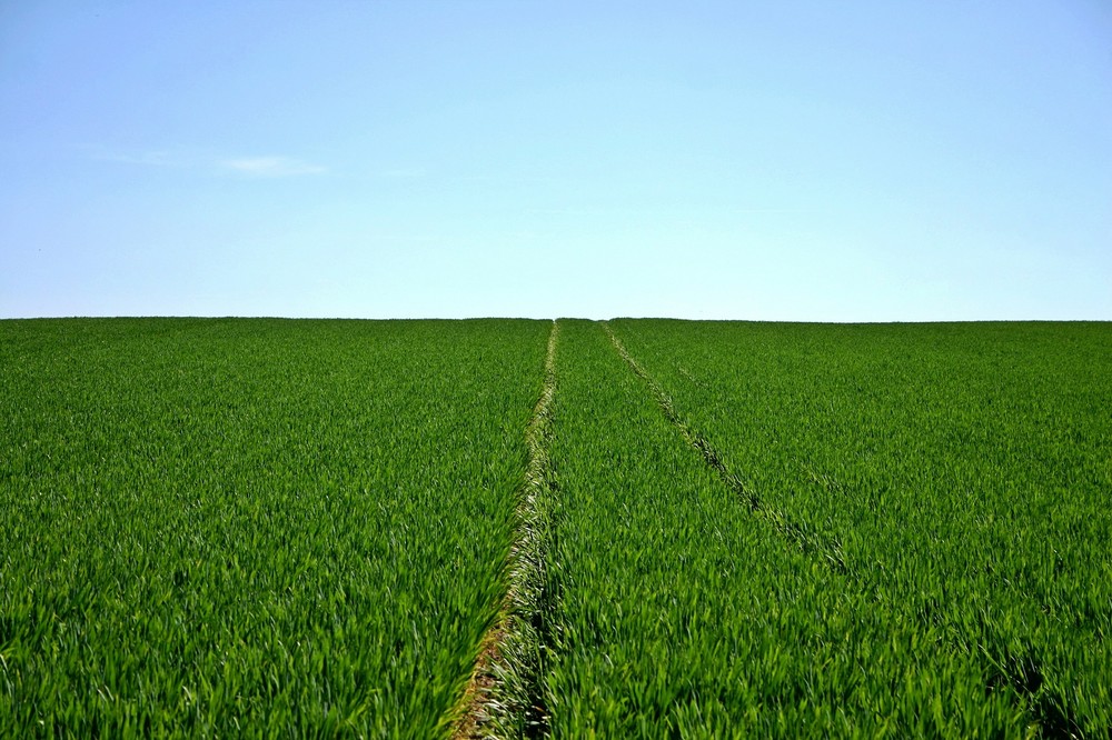 El Gobierno andaluz destina más de 3 millones al Plan de Fomento de Empleo Agrario de 2020 en Almería