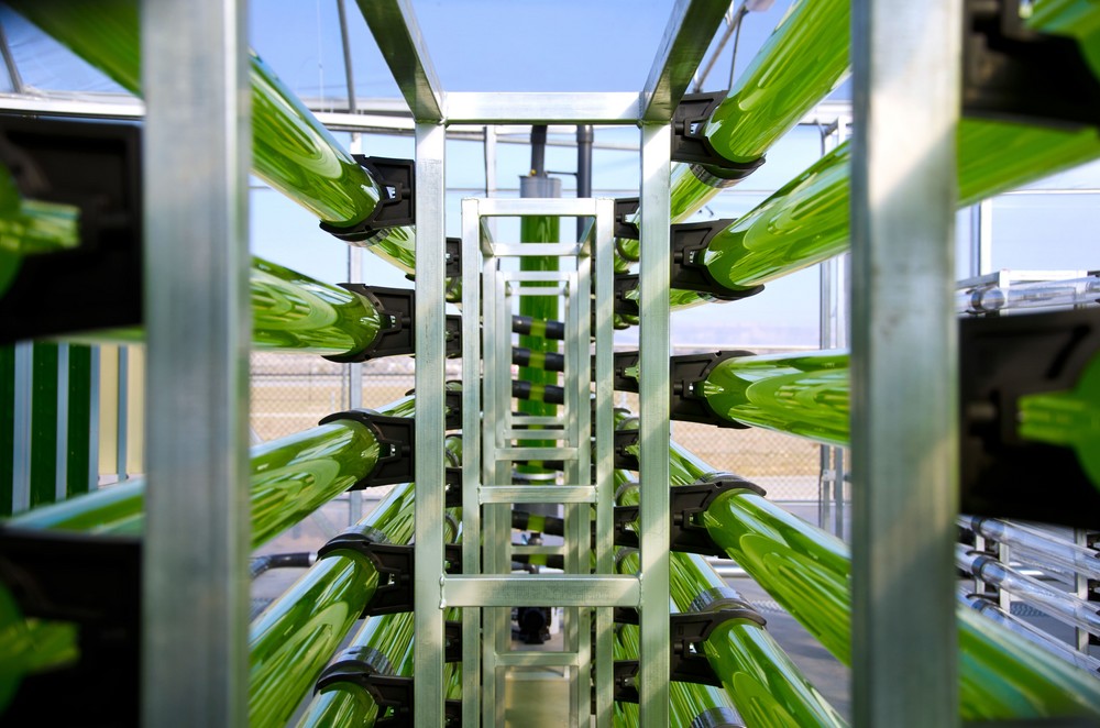 AlgaEnergy entra en la Junta Directiva de AseBio