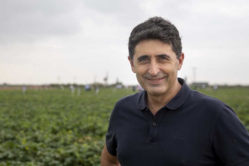“En estos momentos nos estamos centrando en desarrollar variedades más enfocadas  al consumo en el hogar”