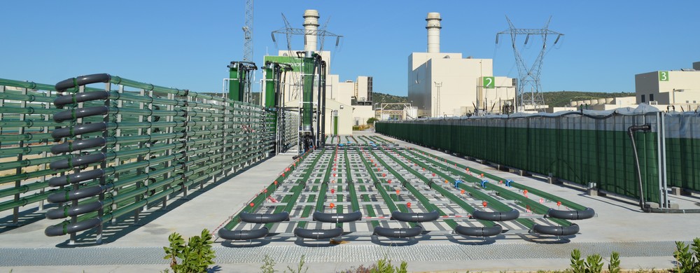 AlgaEnergy continúa en su proceso internacionalización con la creación de filiales en Turquía y Australia