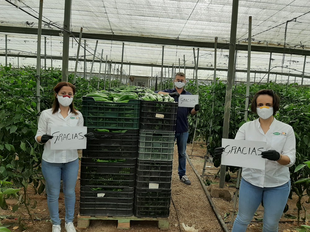 Vilmorin agradece al sector hortofrutícola el gran trabajo realizado durante el Estado de Alarma