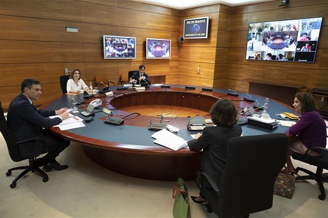  El Consejo de Ministros actualiza la normativa sobre producción, control y certificación oficial de plantas de vivero y semillas
