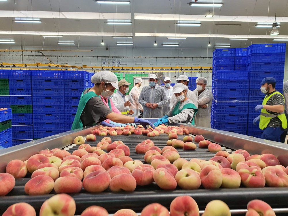  Antonio Luengo visita las instalaciones de Alimer y destaca la apuesta por la modernización e innovación del sector agroalimentario