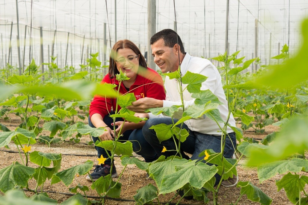 Realthy BIO, nueva apuesta ecológica de La Unión que triunfa en el continente europeo