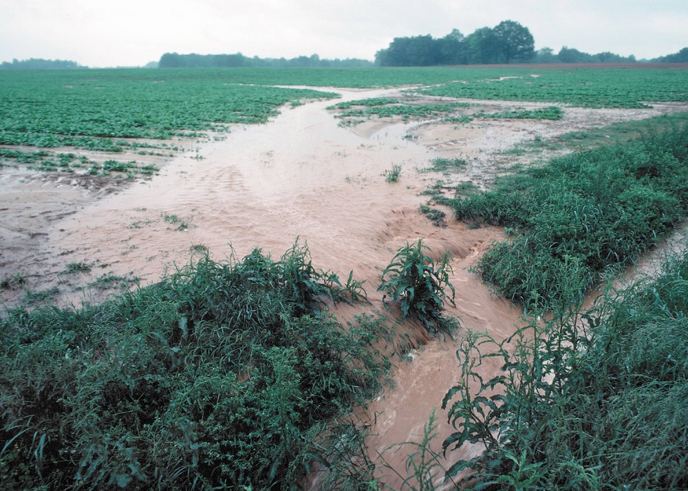  Syngenta desarrolla una nueva herramienta digital para la protección y conservación del suelo y agua