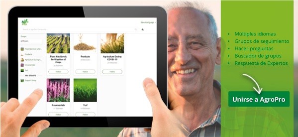 ICL crea AgroPro, un servicio global en línea de información nutricional de cultivos