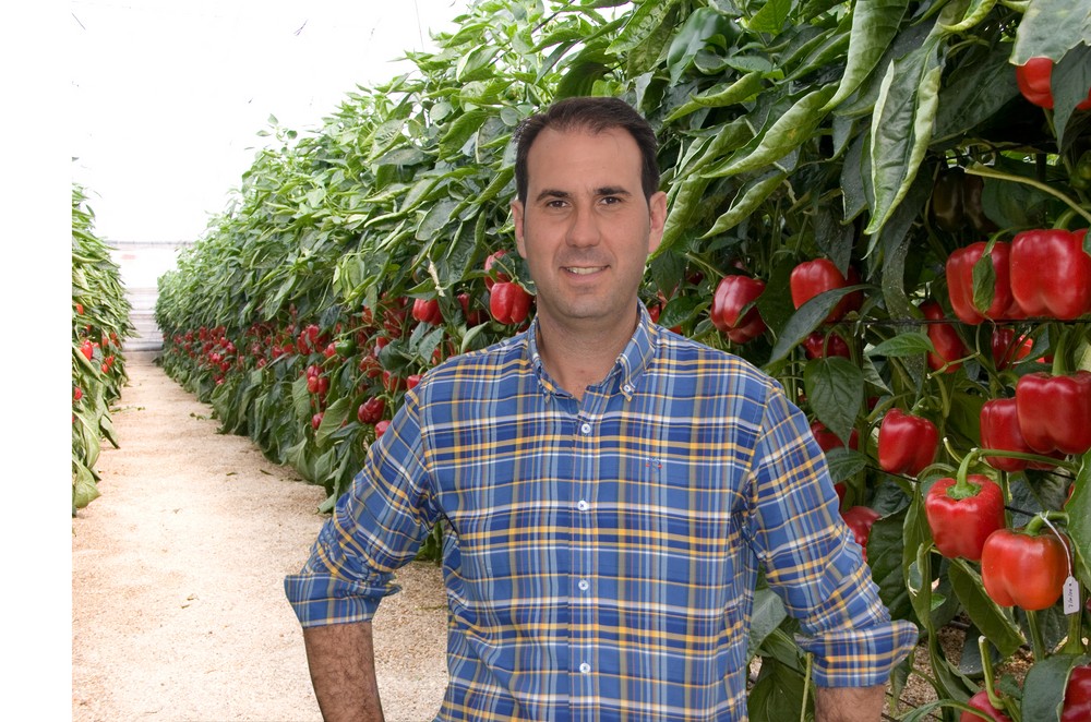 “Arabesca RZ es espectacular por las clasificaciones en la cooperativa por la calidad de fruto así como por su peso”