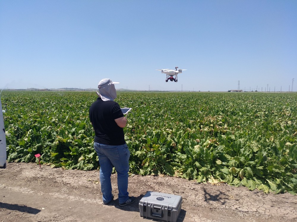 El dron, un aliado que ya es imprescindible en la investigación agronómica andaluza