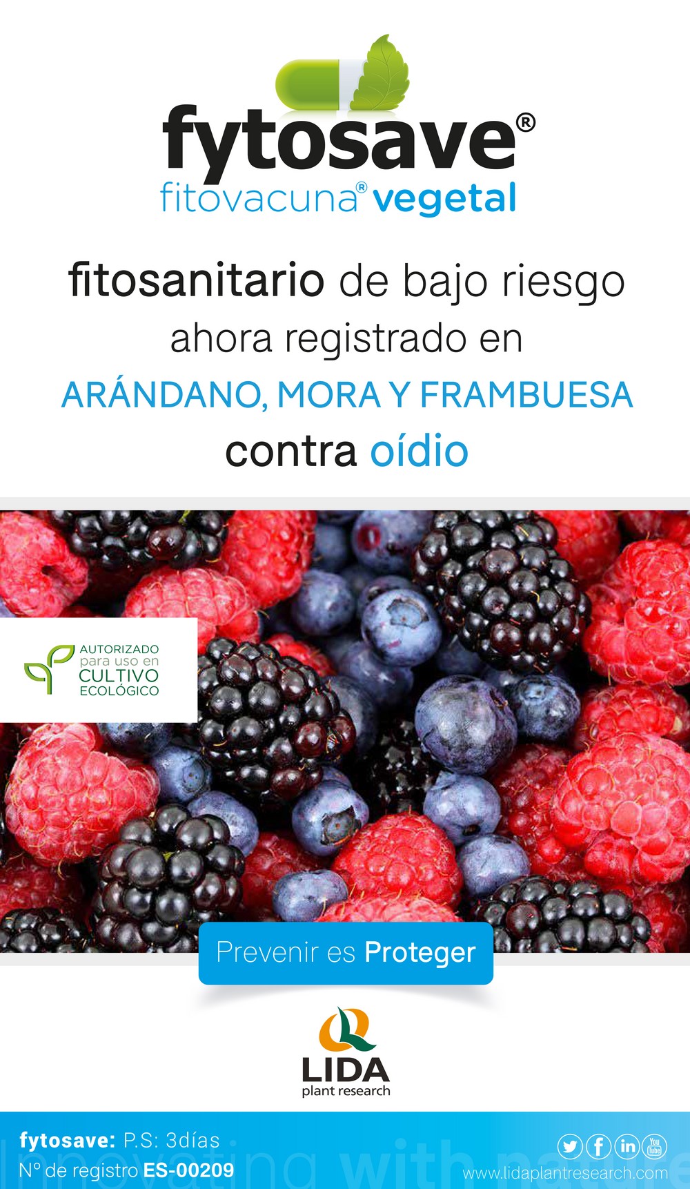 LIDA logra ampliar el registro de la fitovacuna vegetal Fytosave® para alcachofa y frutos del bosque contra el oídio