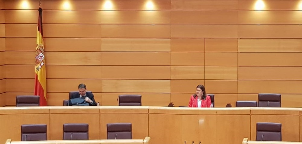 La modificación de la ley de la cadena alimentaria y la reforma de la PAC serán las principales líneas de actuación más inmediatas, según Planas