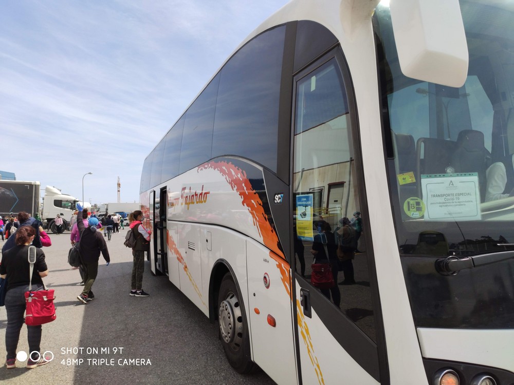  Agricultura ha facilitado la movilidad segura de más de 18.000 trabajadores del sector agroalimentario durante el estado de alarma