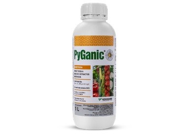 PyGanic®, la evolución natural desde sus orígenes