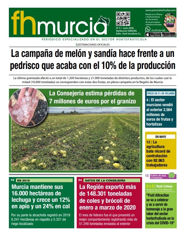 fhmurcia// Nº 9 Junio 2020