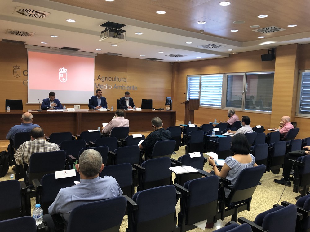  La Comunidad defenderá nuevas ayudas al viñedo en el próximo Programa de Desarrollo Rural para evitar la reducción de hectáreas