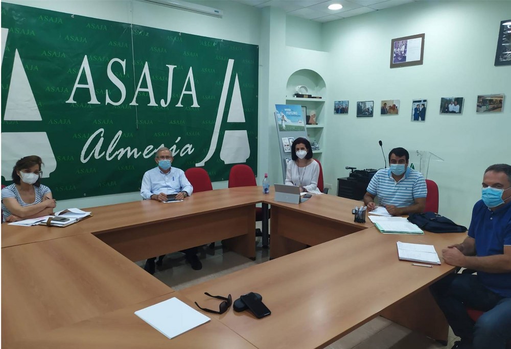 ASAJA, COAG y UPA retoman la unidad de acción del sector hortofrutícola