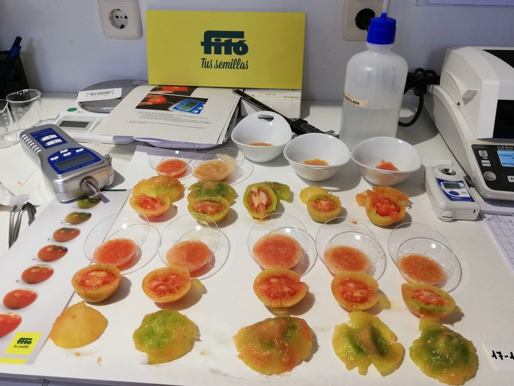 Semillas Fitó y Cocina de Ideas renuevan su alianza para el desarrollo de estudios de calidad y de tendencias de mercado