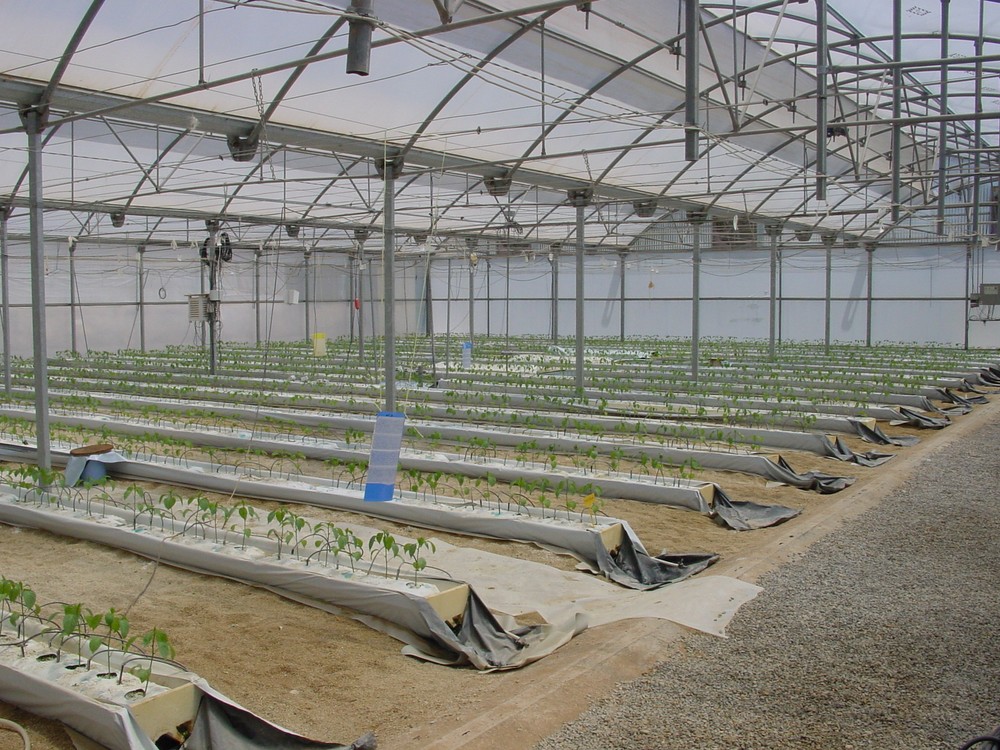  Agricultura autoriza nuevos pagos a jóvenes agricultores y para la modernización de explotaciones por 1,2 millones de euros