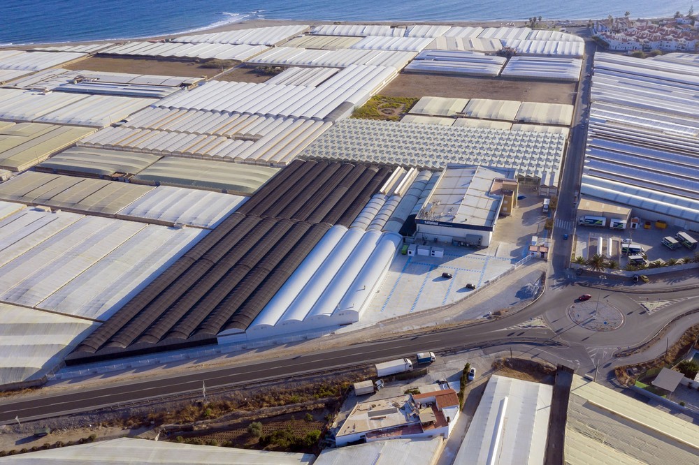 Las nuevas instalaciones de Semillero Saliplant aumentarán la capacidad de injertado en un 50%