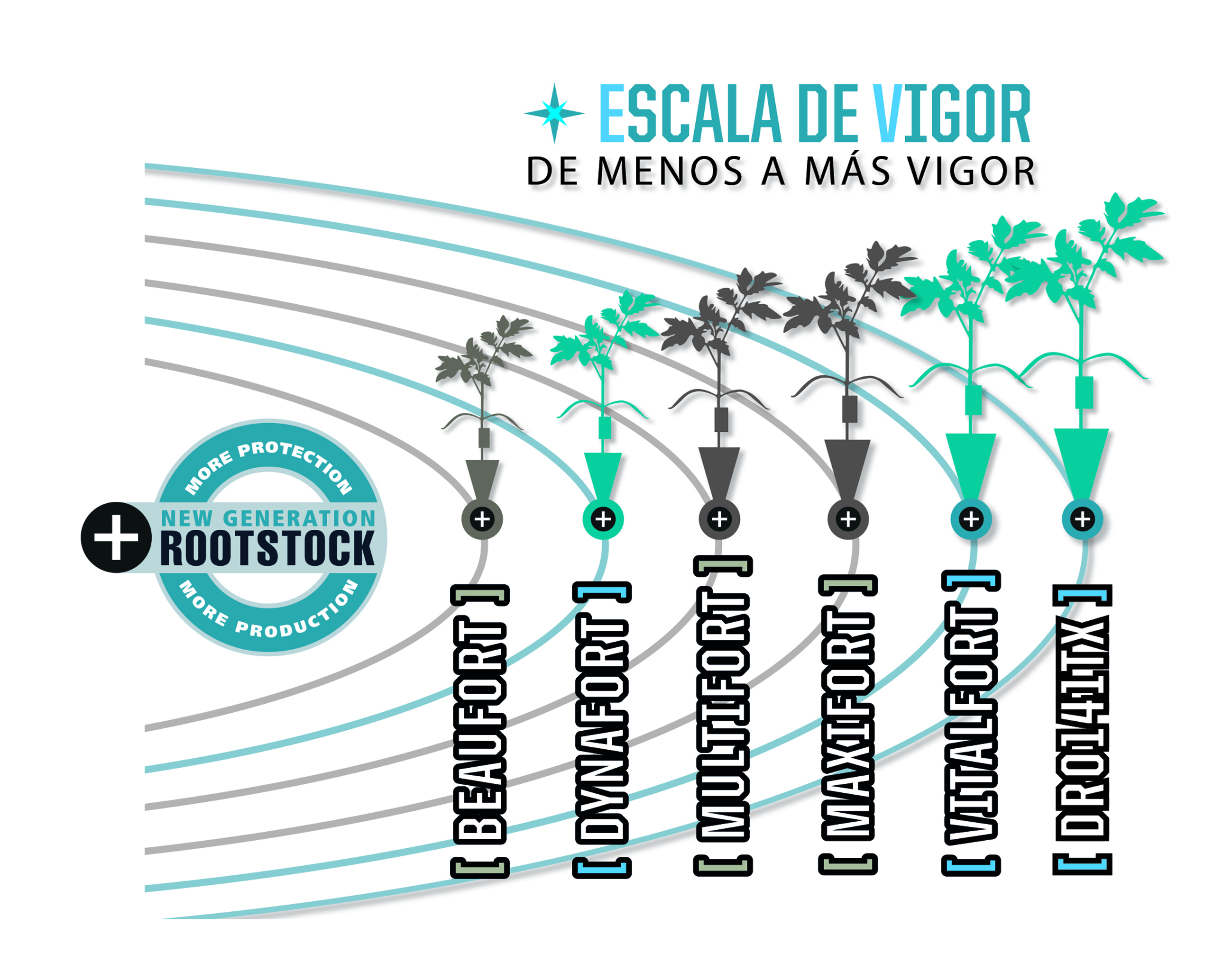 De Ruiter ofrece la máxima protección contra nematodos con su nueva generación de portainjertos