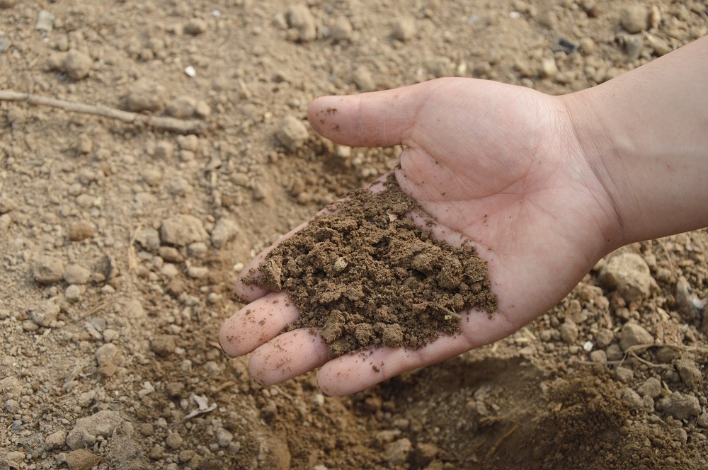 La UAL avanza en el estudio para la obtención de compost de calidad