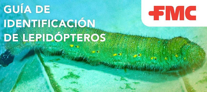 FMC Agricultural Solutions lanza la práctica e interactiva ‘Guía de Identificación de Lepidópteros FMC’