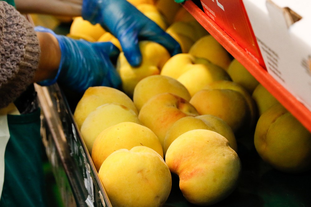 UPA denuncia a centrales hortofrutícolas por abusar de los agricultores