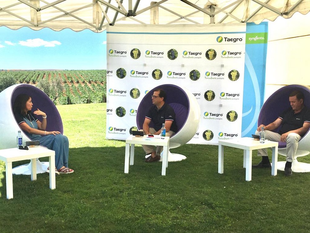 Syngenta presenta Taegro, el nuevo biofungicida para el control preventivo de oídio y botritis en viña y uva de mesa