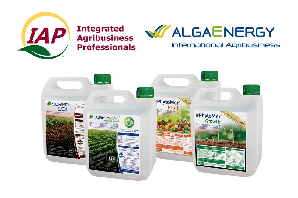 AlgaEnergy y Integrated Agribusiness Professionals (IAP) sellan un acuerdo de distribución en los Estados Unidos