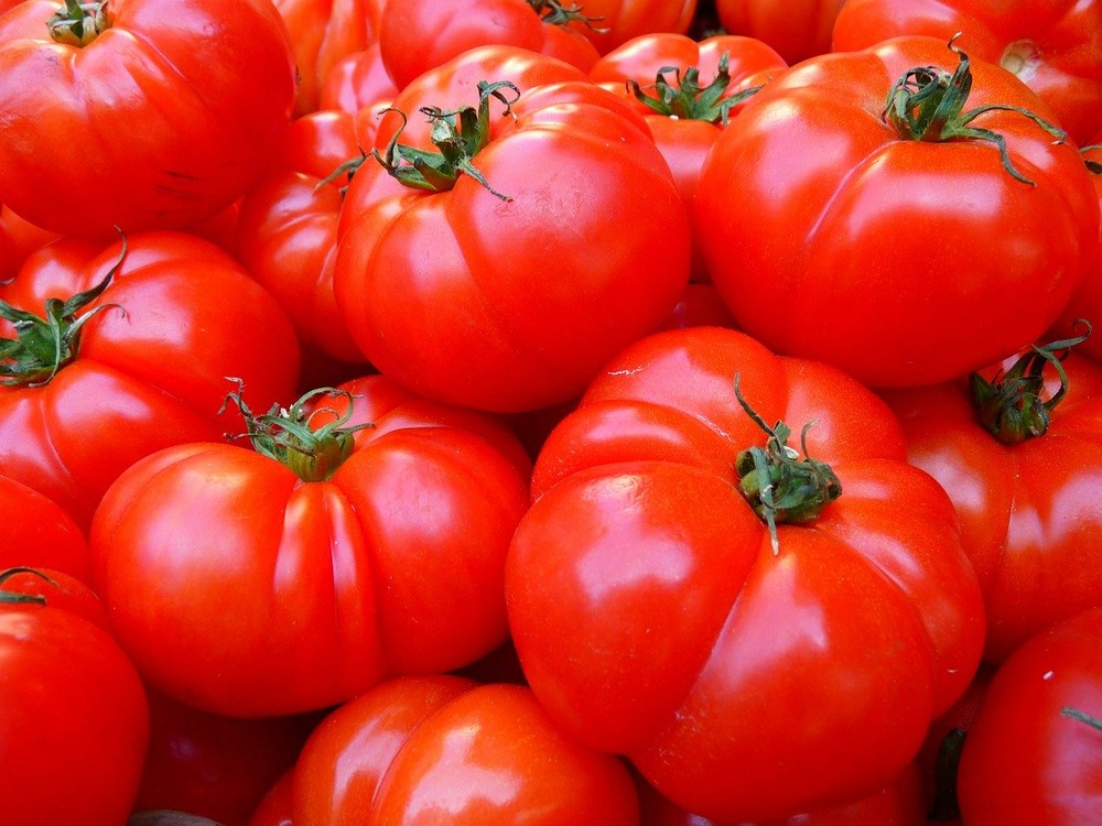 Bajada generalizada del valor del tomate en la segunda semana de julio