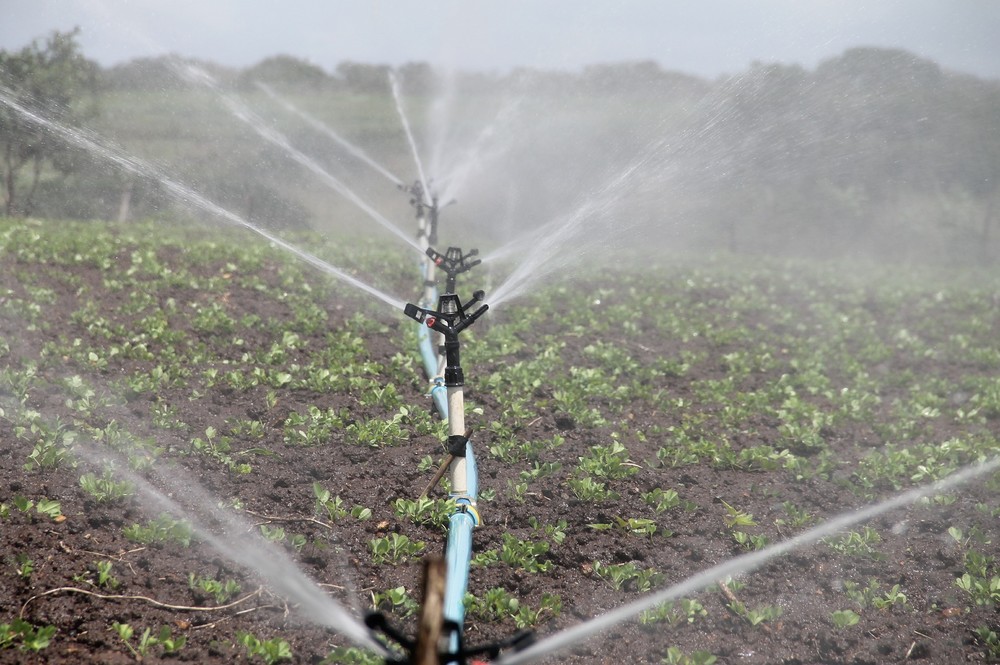 Más de 400 agricultores se beneficiarán de las ayudas que la Comunidad destina a inversiones de modernización de explotaciones agrarias
