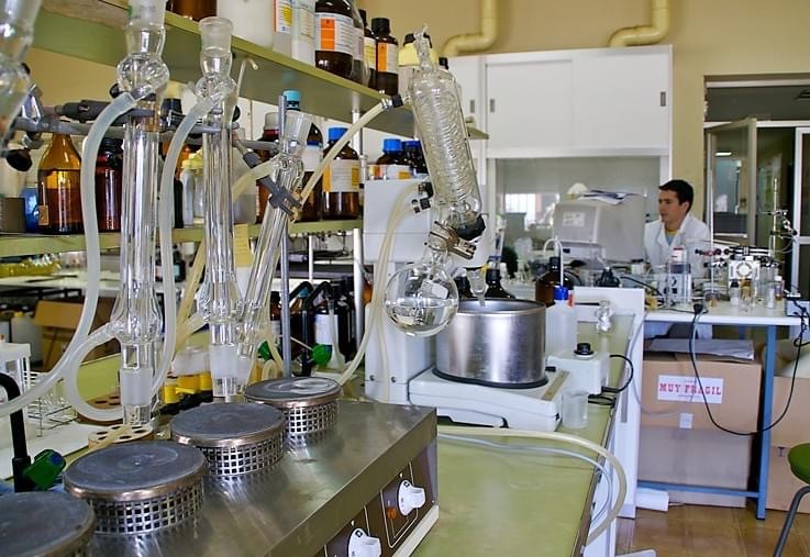  Agricultura convoca 25 plazas de personal investigador y técnico especialista del Ifapa