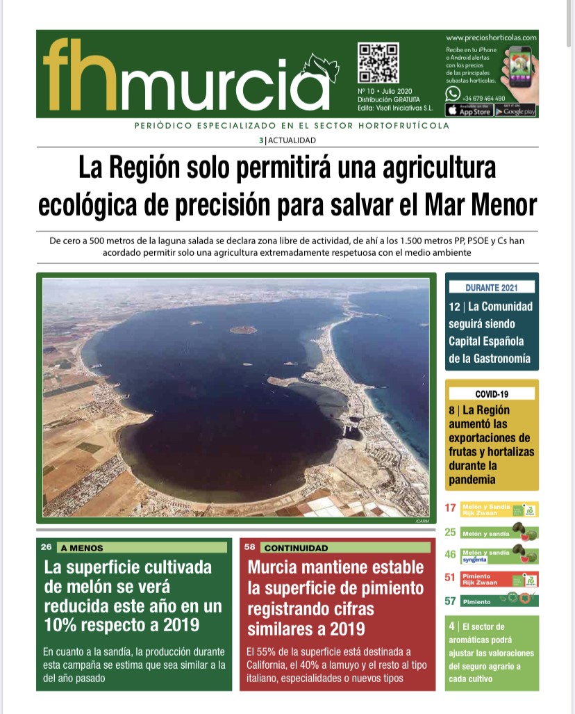 fhmurcia N•10// Julio 2020
