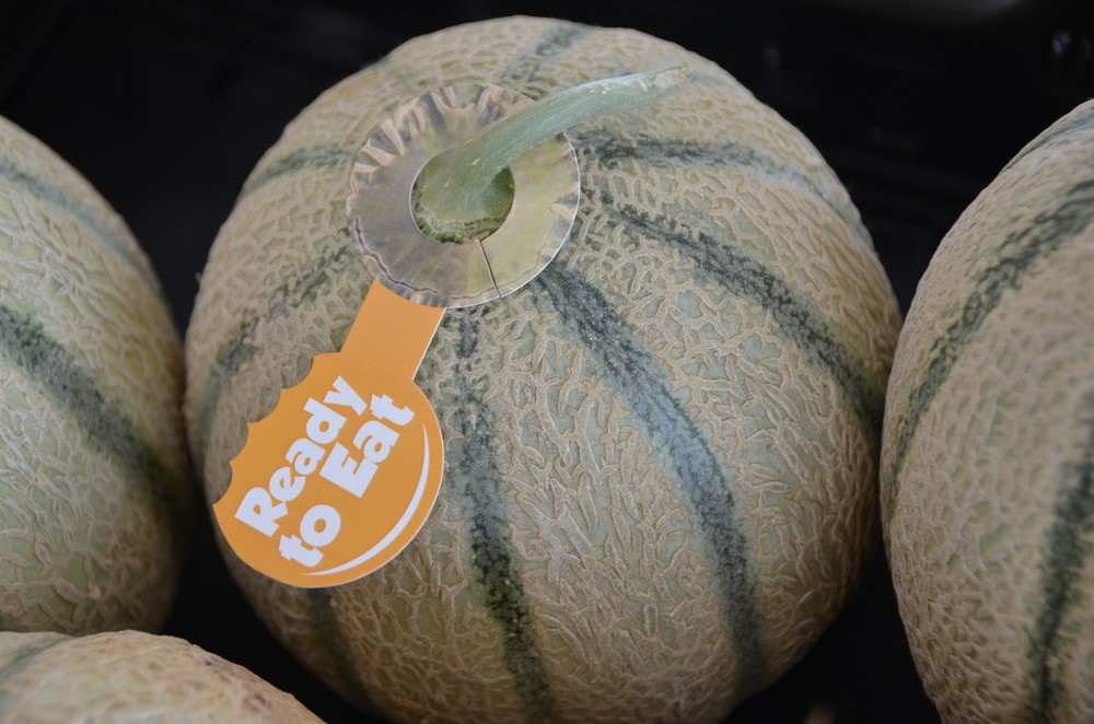 Rijk Zwaan asienta en el mercado  sus charentais gracias a la garantía  de sabor del sello ‘Ready to Eat’