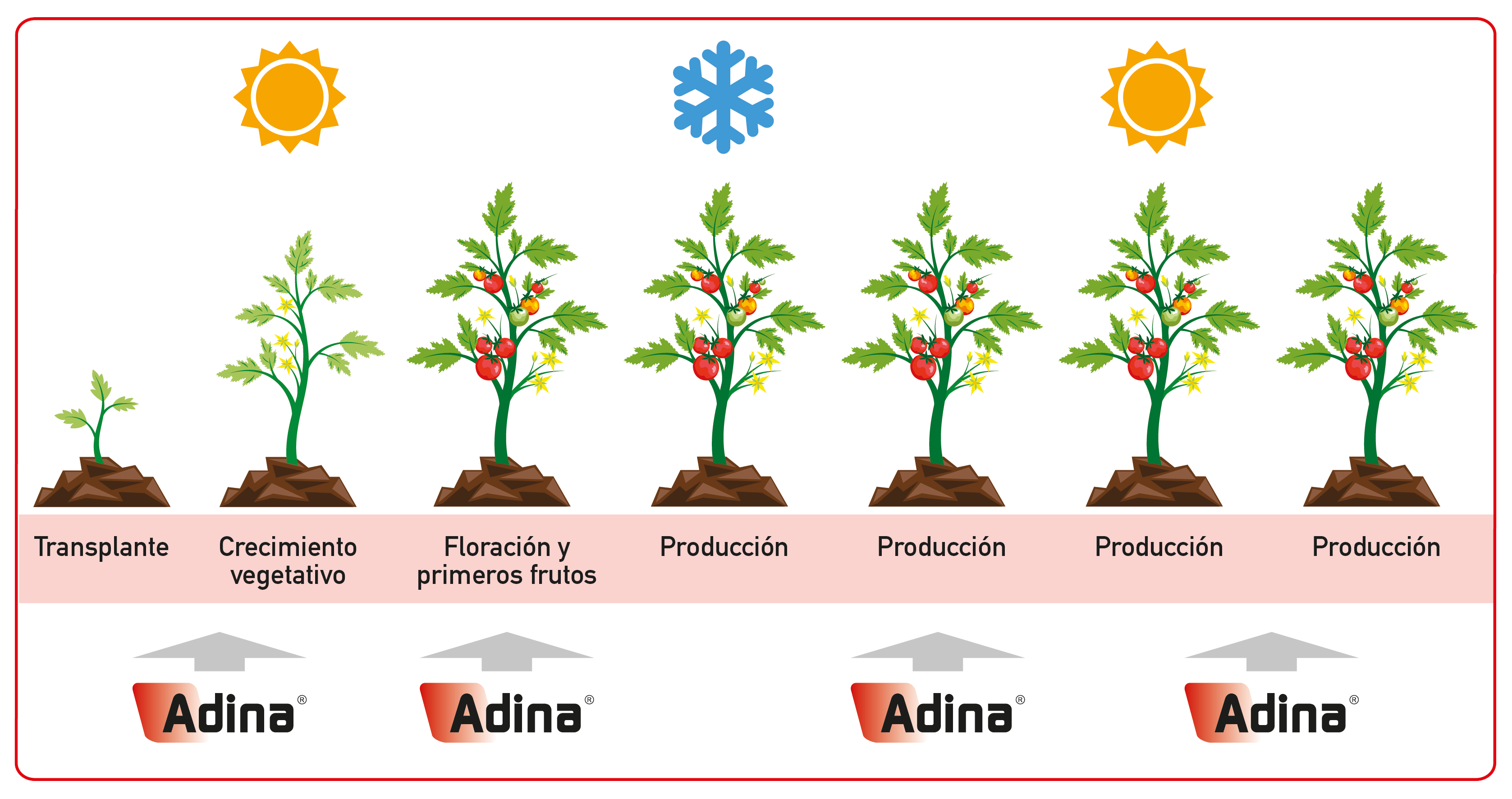 Adina®, una solución completa de mercado para el control de nematodos y plagas aéreas en hortícolas
