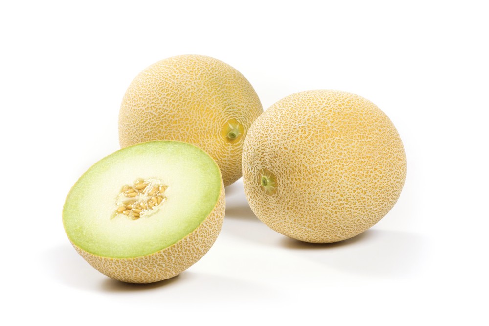 Rijk Zwaan presenta sus nuevos galia con mejor conservación y gran sabor de la mano de Venus RZ, 17G1017  y 18G407