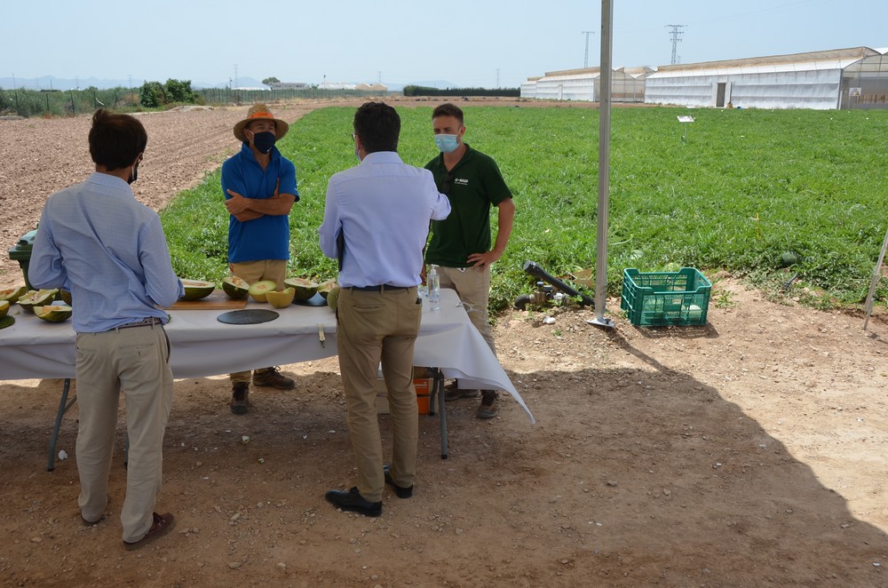 Nunhems hace bandera de su sabor, seguridad y diferenciación en novedades de melón y sandía