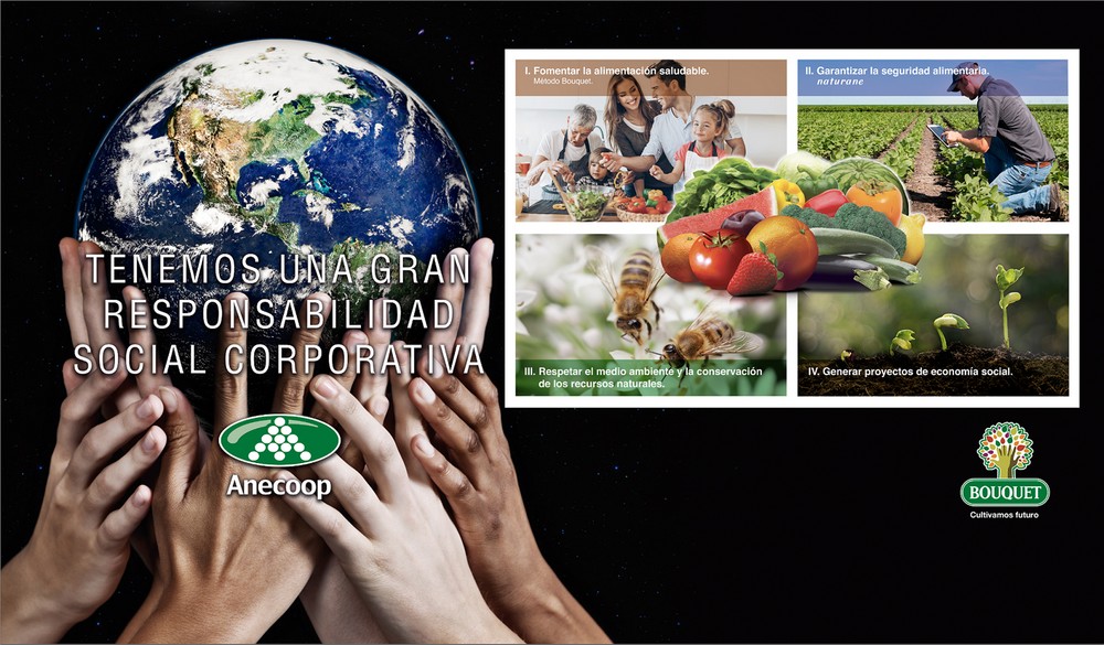 Anecoop: El valor de la sostenibilidad  en el mundo cooperativo