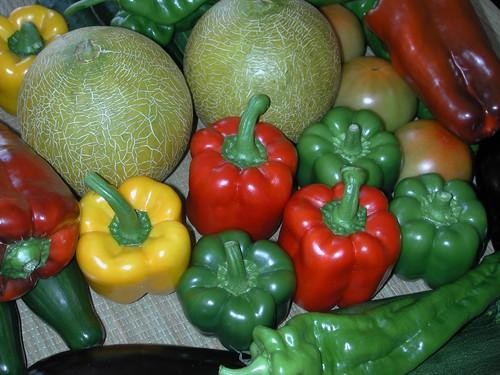 ASAJA Murcia y ASAJA Alicante denuncian que la UE deja a los pies de los caballos a la agricultura por su impasibilidad ante la importación de productos de terceros países