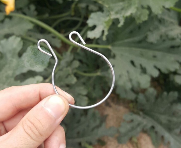 Los tutores de C. Navalón se ganan al agricultor por su adaptabilidad y calidad