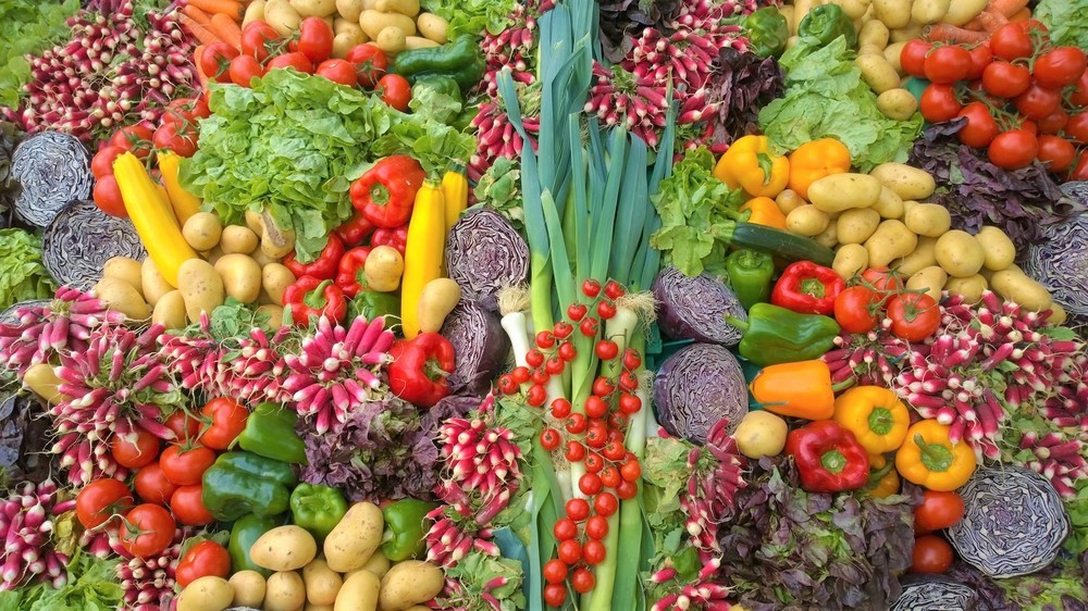 Las exportaciones agroalimentarias, pesqueras y forestales continuaron su tendencia al alza en 2019 y alcanzaron 53.180 millones de euros