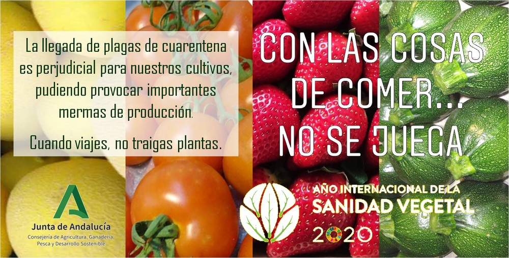  Agricultura inicia la campaña 'Con las cosas de comer no se juega' para evitar plagas de cuarentena en los cultivos