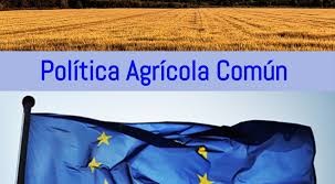 Cerca de 700.000 agricultores y ganaderos recibirán 4.954 millones de euros en ayudas directas de la PAC 2020