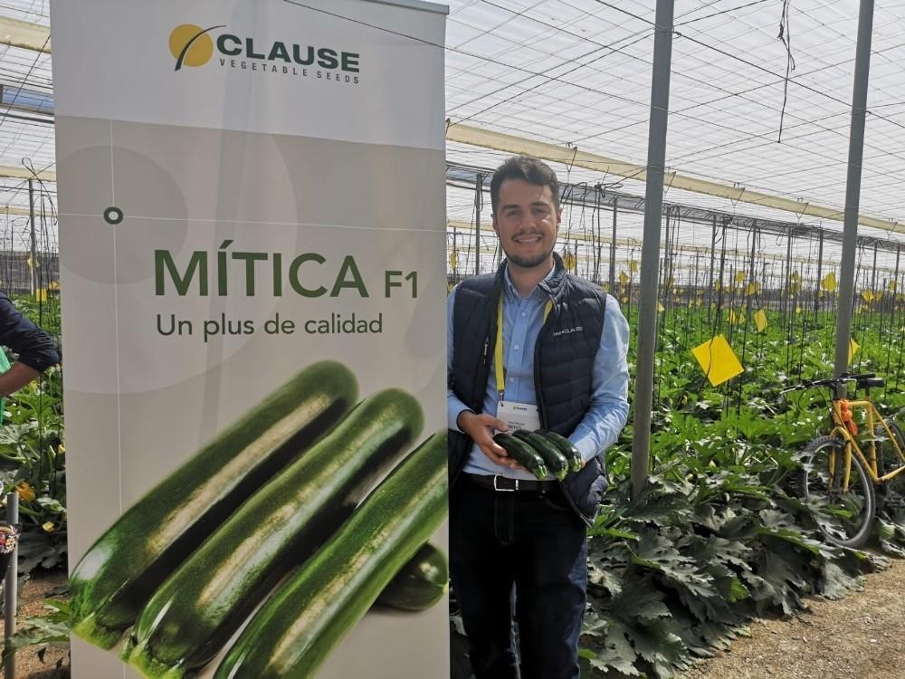 Mítica, el calabacín de HM.CLAUSE precoz y con fruto de alta calidad