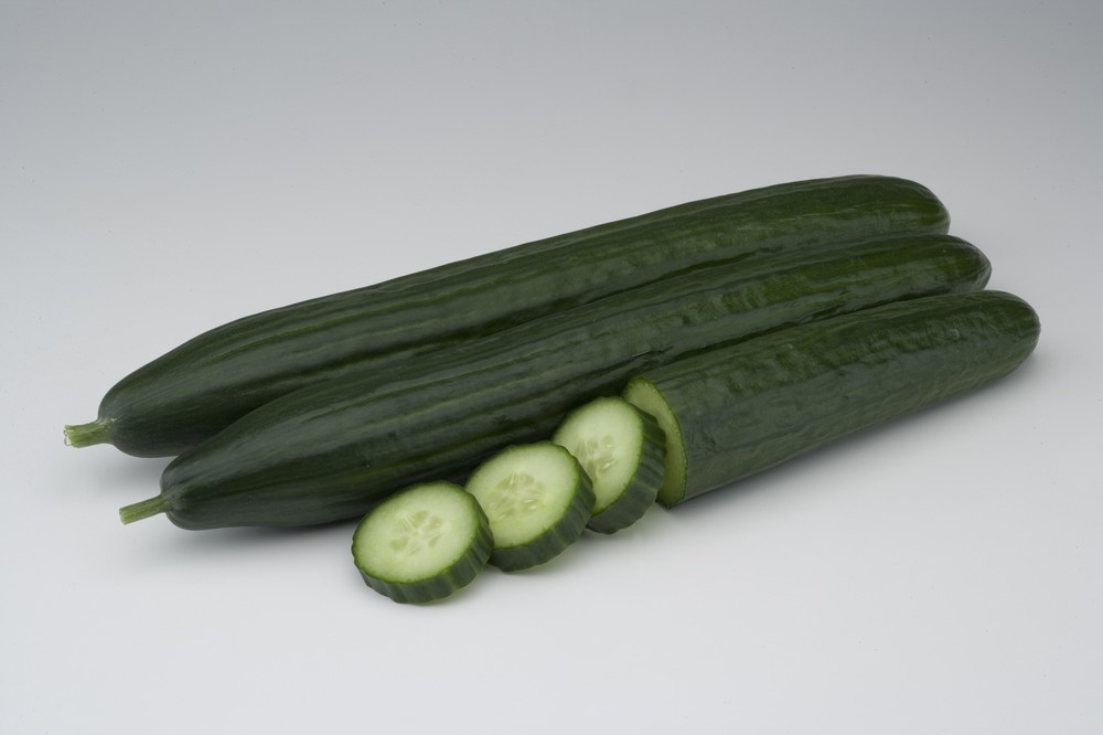 BASF Vegetable Seeds ofrece el doble de opciones para cultivar pepino largo en invierno